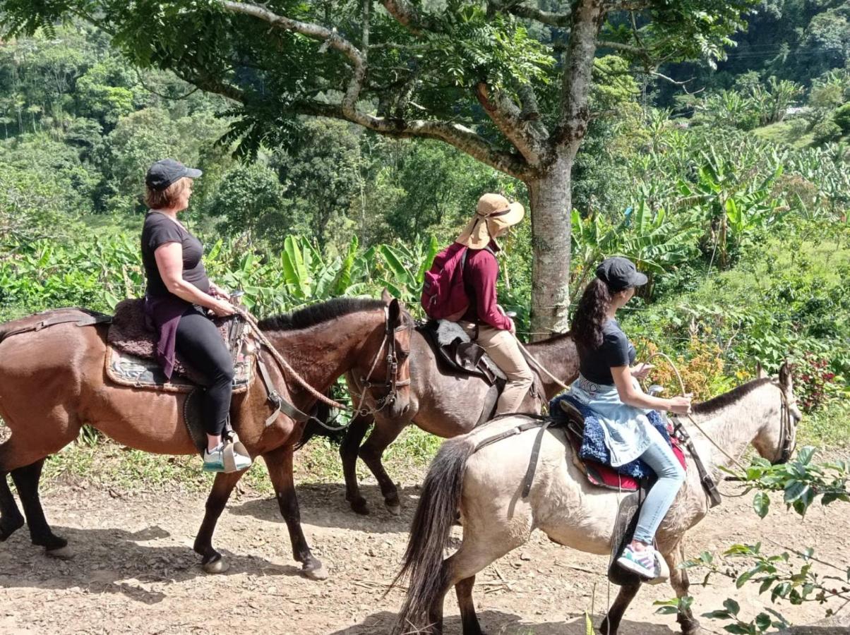 Alojamiento Rural Jardín Consentido Exterior foto