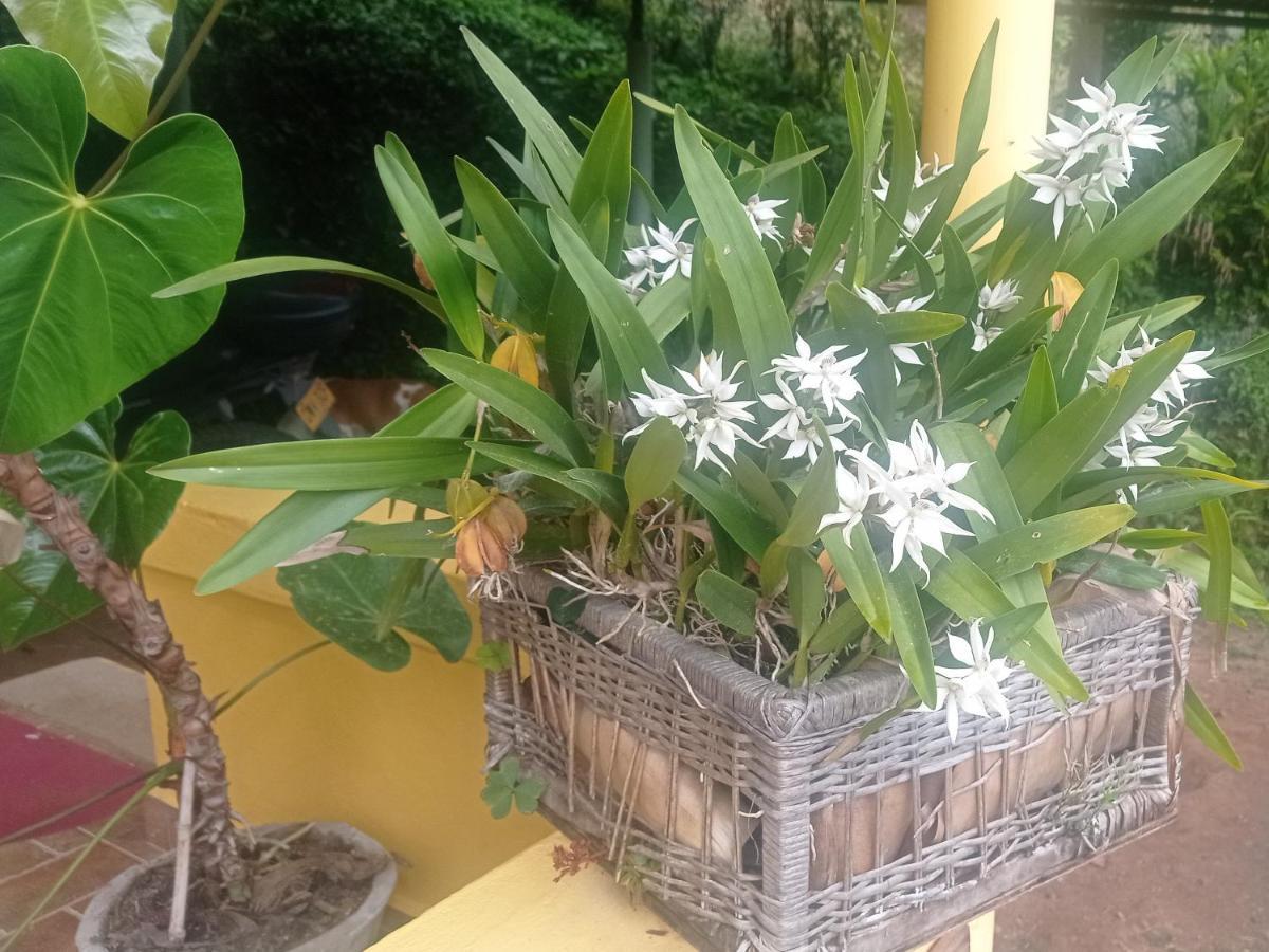 Alojamiento Rural Jardín Consentido Exterior foto