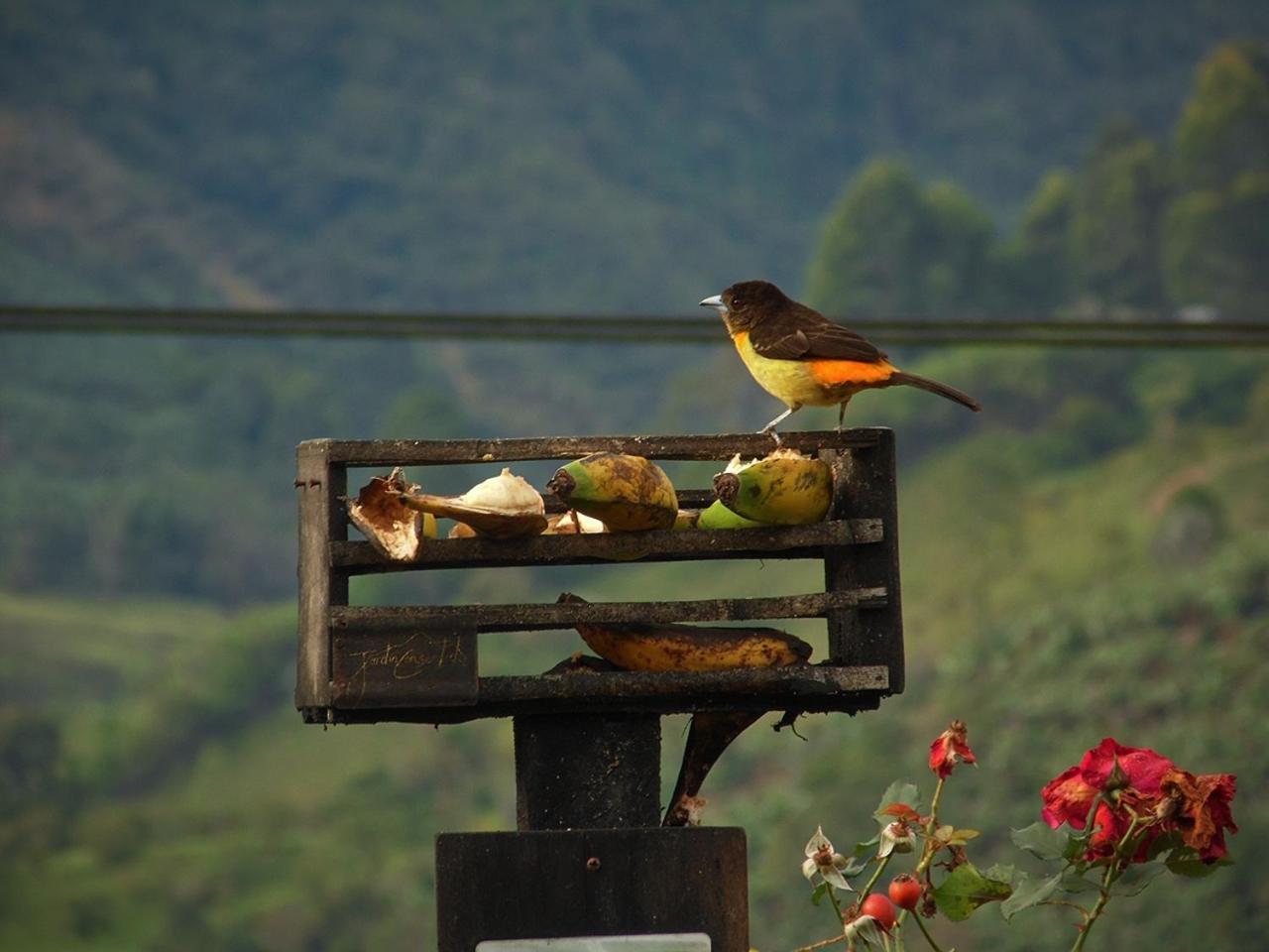 Alojamiento Rural Jardín Consentido Exterior foto