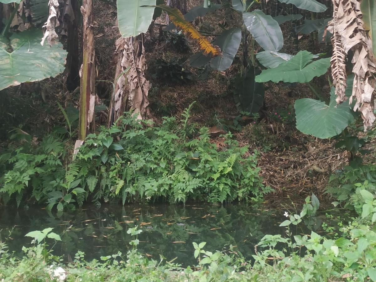 Alojamiento Rural Jardín Consentido Exterior foto